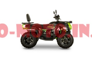 Квадроцикл Forte AFC 250 Pro